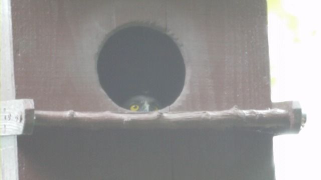 00004.MTS_000070070