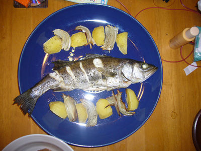 p1020702
