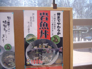 20060506iwana