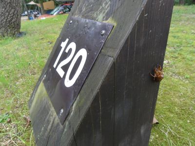 dsc01763_r