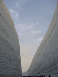 20060506tateyama4