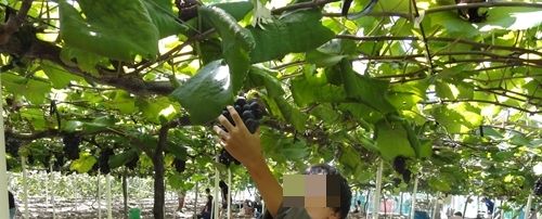 DSC05696_R