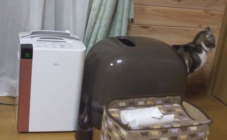 20111231das303a