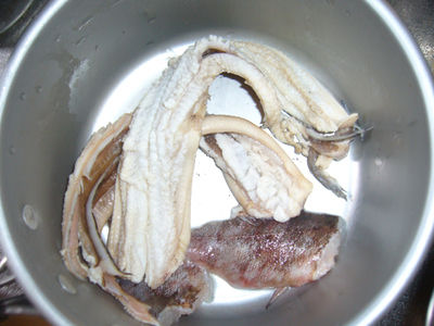 p1020678