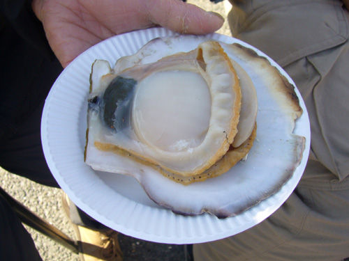 p1030059