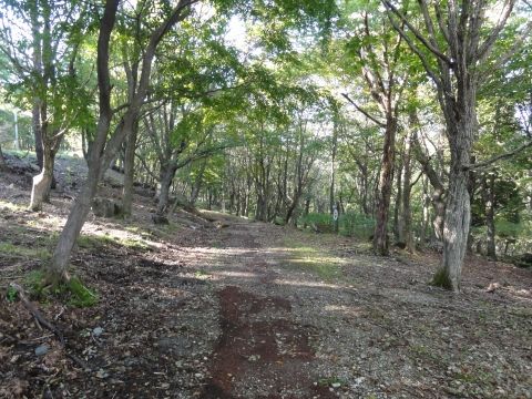 DSC06108
