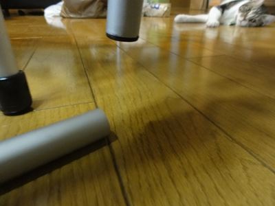 dsc01917_r (1)
