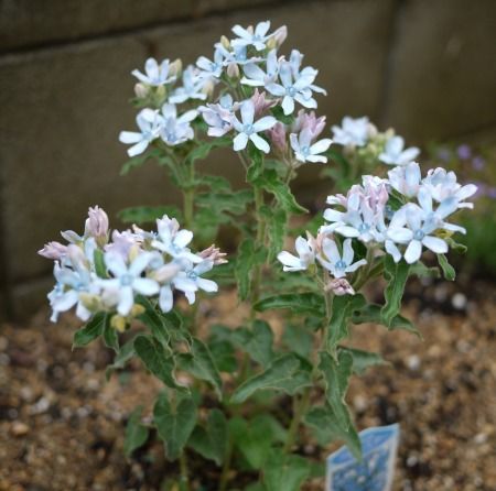 P1040310