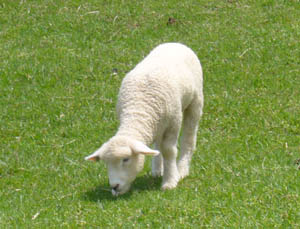 20060514rokkou2