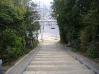20060414hayashi1