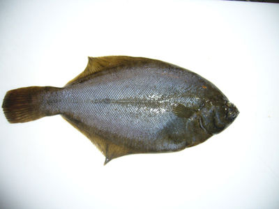 p1020377