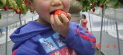 DSC00021